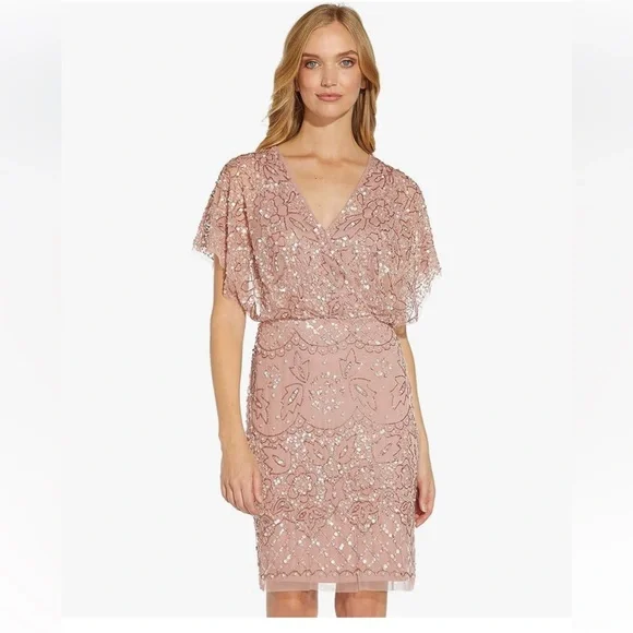 NWT!‎ Adrianna Papell Women's Beaded Mesh Blouson Dress - Picture 3 of 9